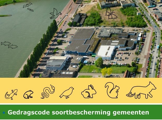 Bericht Geldigheid Stadswerk gedragscode soortenbescherming gemeenten na 1 juni 2023 bekijken